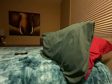 Snapshot of Bwcjoshbanks chatting on 01-31-25, 05:30 Bwcjoshbanks online show from 01-31-25, 05:30