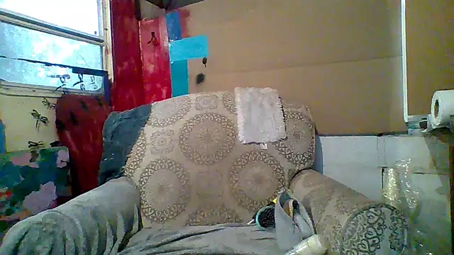 Snapshot of spundarella420 chatting on 03-10-25, 01:21 spundarella420 online show from 03-10-25, 01:21