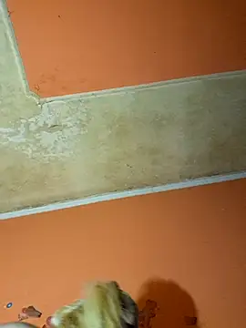 ducicsajsziii online show from 12-09-24, 11:03