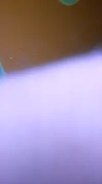 ducicsajsziii online show from 01-28-25, 05:54