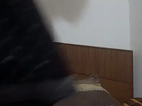 shekira99 online show from 03-01-26, 01:57