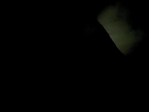 j hollywood91 online show from 12-02-25, 05:46