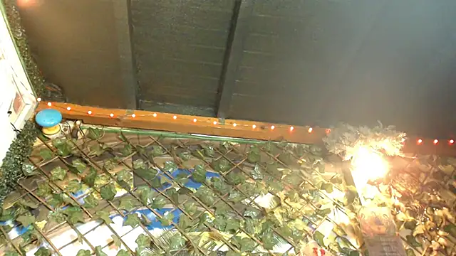 Bigboobs6930 online show from 01-24-25, 05:31