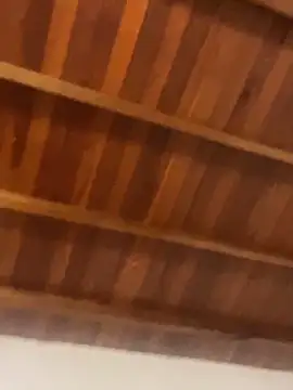 Richchocolatesweet  online show from 03-20-25, 02:10