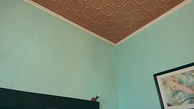 Prxscillia Tx online show from 01-14-25, 03:15