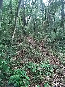 OFICINA Simas-Turbo online show from 09-20-25, 07:37