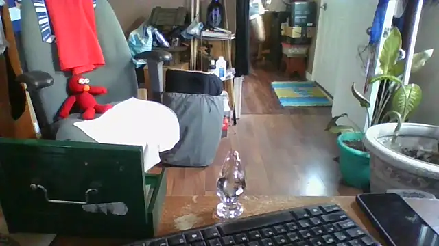 Daremeknot online show from 12-30-24, 07:00