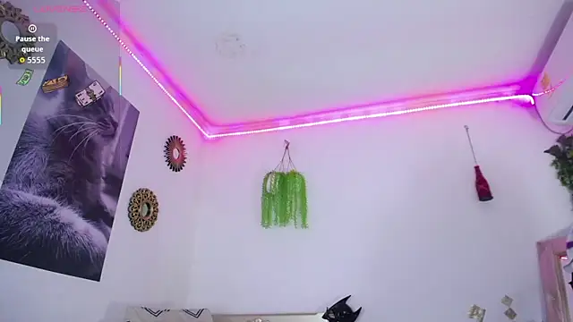 huge armound online show from 03-08-26, 07:39