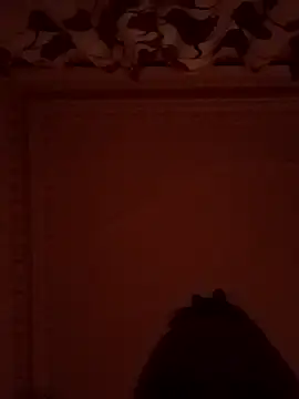 comeonlasys online show from 01-05-25, 05:41