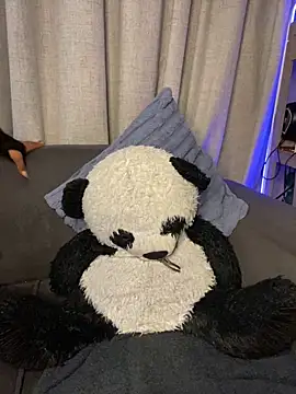 YellowHoneyDip online show from 02-19-26, 05:25