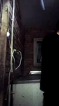 Cameron puppy online show from 03-07-25, 06:00