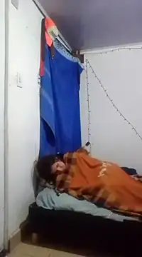 Cameron puppy online show from 03-11-25, 06:53