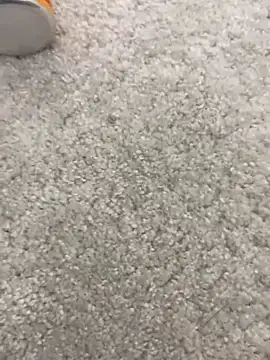 Snapshot of furkanktyAcalea chatting on 02-16-25, 11:59 furkanktyAcalea online show from 02-16-25, 11:59