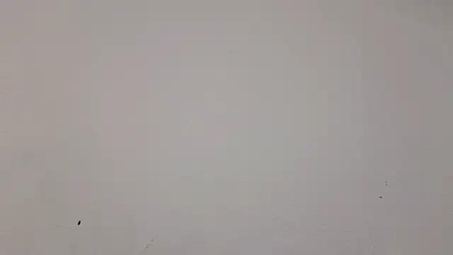   Nina online show from 02-19-25, 01:06