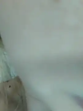 Elza kom online show from 03-01-25, 07:51