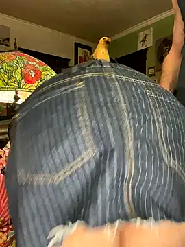 sexyasscougar online show from 11-29-25, 04:04