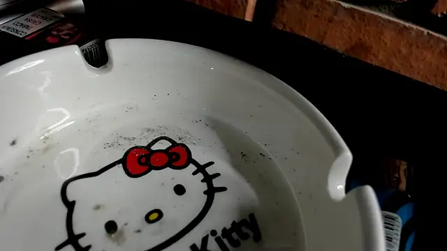 Nikole66  online show from 10-31-25, 11:28