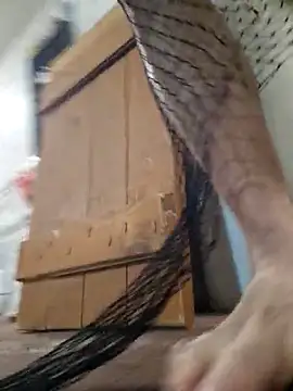 WhoreAnalsssxxx online show from 11-30-25, 12:03