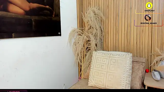 sofhiaa adaams online show from 02-20-26, 10:43