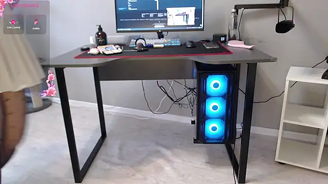 LadySambuca online show from 02-14-26, 05:48