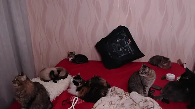 Olivia Winston online show from 12-28-24, 09:40