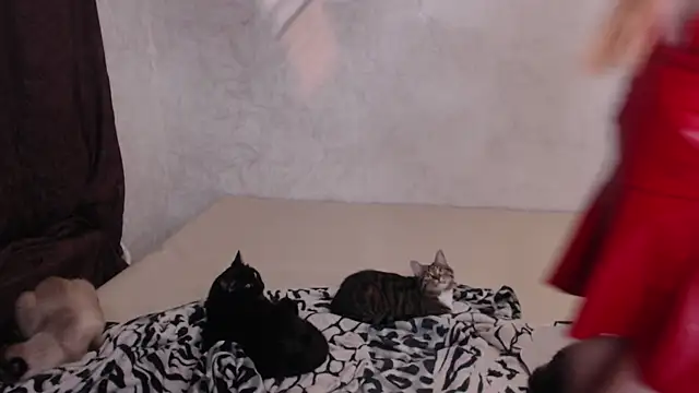 Olivia Winston online show from 11-30-25, 10:58