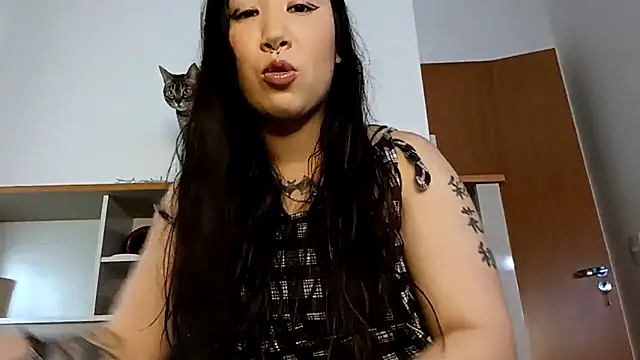 Japabaixinha online show from 11-22-25, 08:41