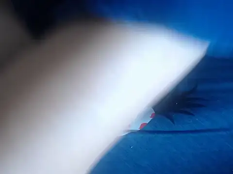 Snapshot of 69loveme09 chatting on 02-04-25, 09:07 69loveme09 online show from 02-04-25, 09:07