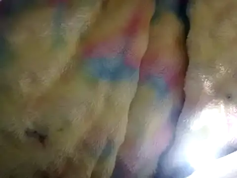 Moreno1813 online show from 03-15-25, 02:55