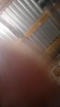 Moreno1813 online show from 11-05-25, 06:13