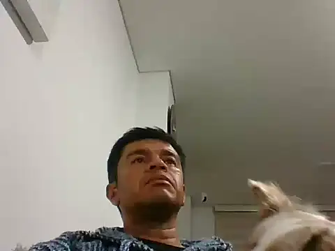 perxxxeo  online show from 10-11-25, 01:38