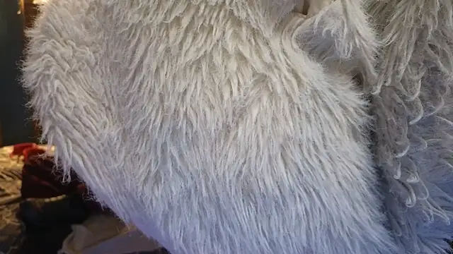 PropertyAndBiker online show from 12-06-24, 02:24