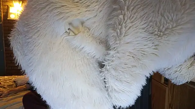 PropertyAndBiker online show from 12-07-24, 02:20