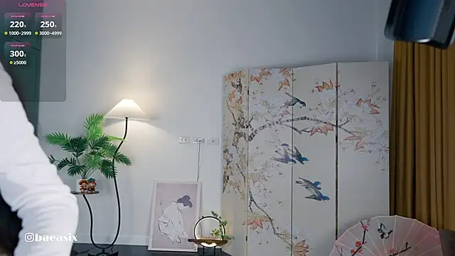 Snapshot of baeasian chatting on 09-13-25, 10:09 baeasian online show from 09-13-25, 10:09