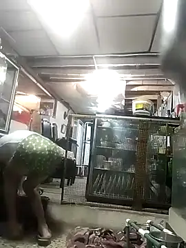 cristalzeus online show from 12-15-25, 11:09