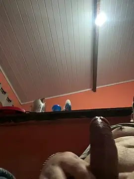 brunogordin69 online show from 09-25-25, 07:01