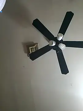 Snapshot of Hugebwc102 chatting on 11-23-25, 08:03 Hugebwc102 online show from 11-23-25, 08:03