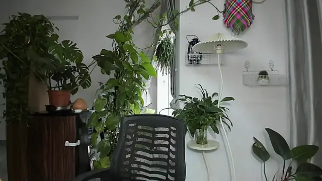 Oliver Nl online show from 11-19-25, 04:56