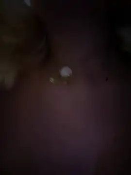 Snapshot of Enyeld_ruru chatting on 02-02-25, 12:09 Enyeld ruru online show from 02-02-25, 12:09