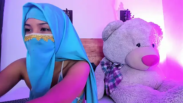 Snapshot of Adib_ali chatting on 09-11-25, 06:41 Adib ali online show from 09-11-25, 06:41