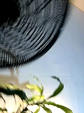 Snapshot of _Miguel100 chatting on 11-06-25, 02:56 Miguel100 online show from 11-06-25, 02:56