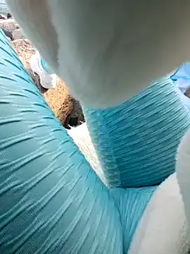 SexyErola27 online show from 01-24-25, 03:13