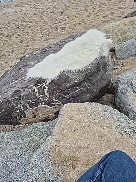 SexyErola27 online show from 12-19-25, 01:29