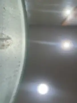 Snapshot of Mila_Morgan chatting on 01-23-25, 01:51 Mila Morgan online show from 01-23-25, 01:51