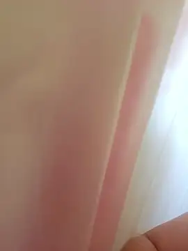 realhorsecock online show from 02-23-25, 05:29