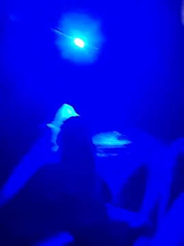 prcalek19 online show from 11-20-25, 07:46