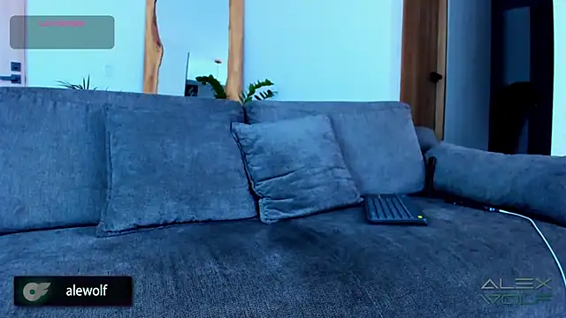 alex wolf  online show from 11-28-25, 02:42