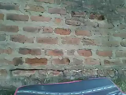 Javan  online show from 01-13-25, 12:35