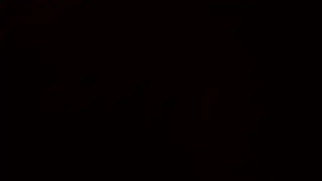 Ashinaga oj online show from 12-14-24, 10:24