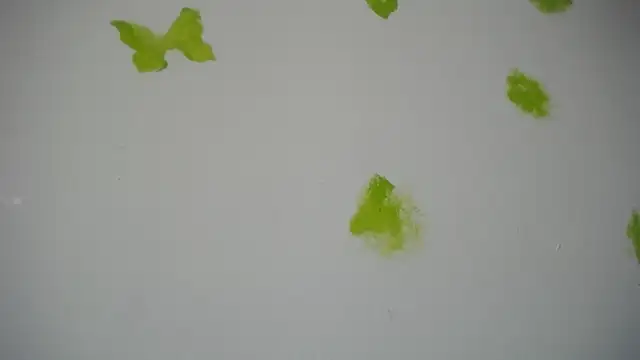 Snapshot of RACHELL__HOT chatting on 09-30-25, 06:35 RACHELL HOT online show from 09-30-25, 06:35